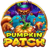 Pumpkin Patch