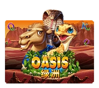 Oasis