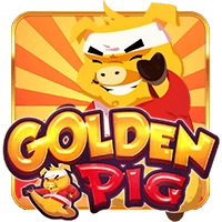 Golden Pig